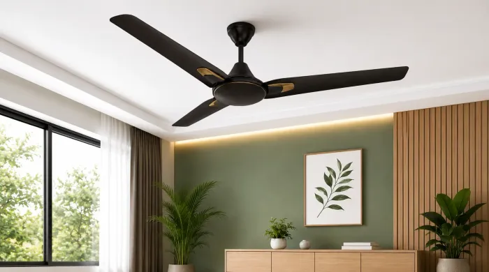 Eco Advance BLDC Ceiling Fans Benefits, Applications & Function