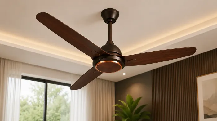New & Massive Ways To Enhance Lifestyle with Rotex