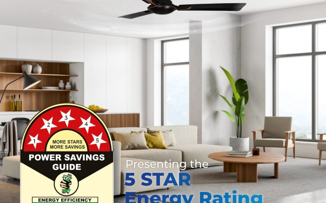 Why do you need 5 star rated BLDC fan?